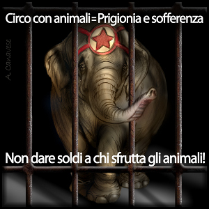 circo-animali-prigionia-sofferenza NO, al circo con animali.