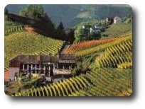 Monferrato e Langhe del Piemonte