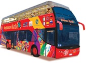 Autobus turistico per visitare Torino